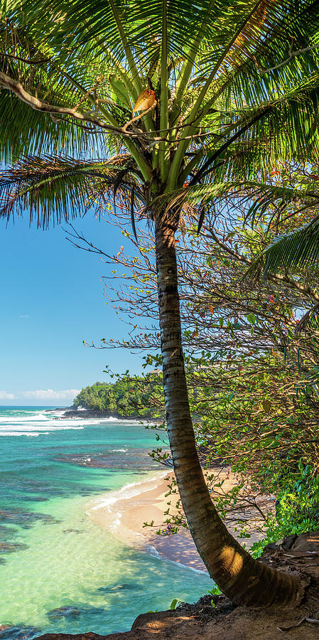 A Peak At Paradise Photograph by Slow Fuse Photography