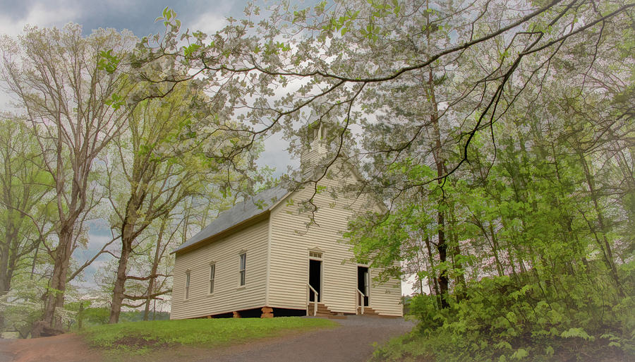A Soft, Misty, Dogwood Kind of Morning Photograph by Marcy Wielfaert