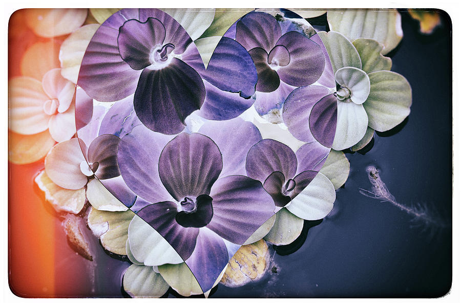 Abstract Of Heart Shape Over Aquatic Plants. Digital Art by Ethera