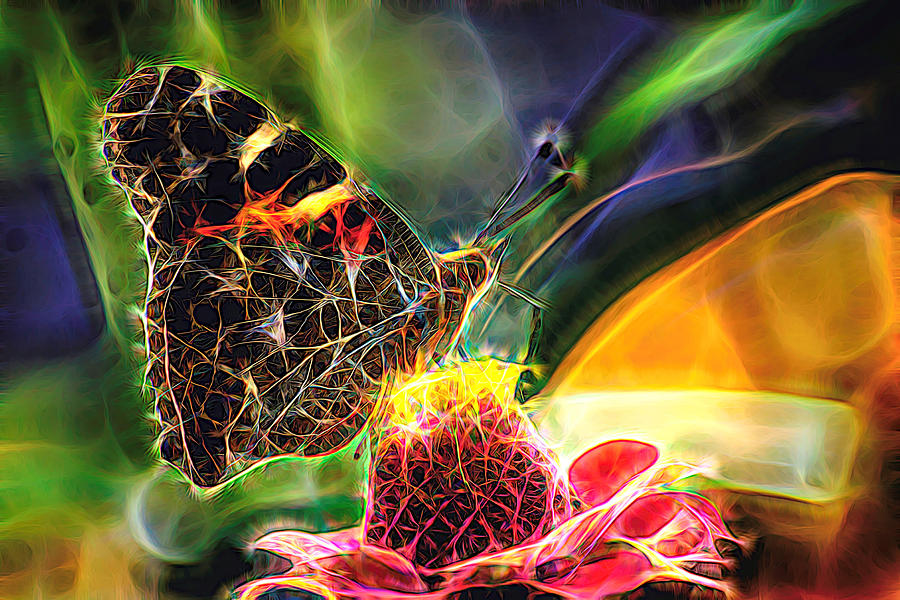Abstract Painted Lady Butterfly Photograph by Don Northup