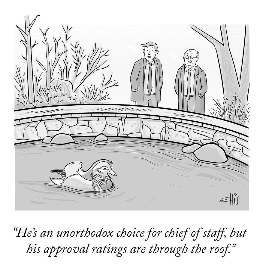 An Unorthodox Choice Drawing by Ellis Rosen