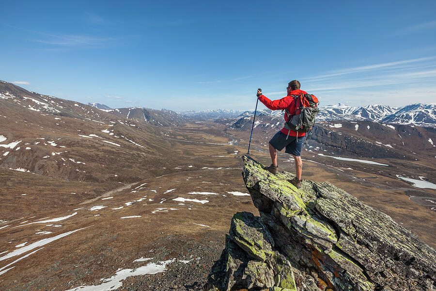 Angus Rose On A Mountain Ridge Photograph by Patrick J Endres - Metal ...