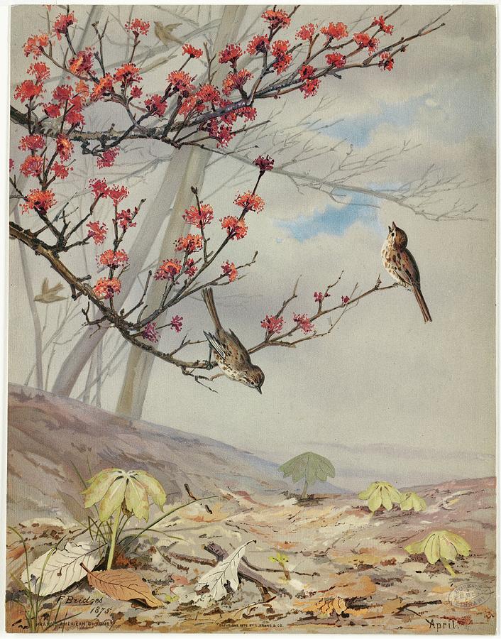 April Painting by Fidelia Bridges