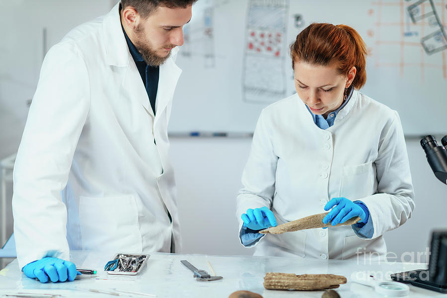Archaeology Researchers Analyzing Ancient Antler Tool by Microgen ...