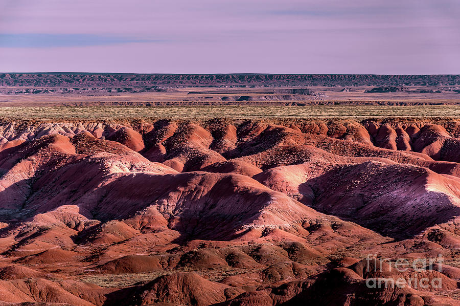 Arizona Painted Desert #2 Photograph by Blake Webster