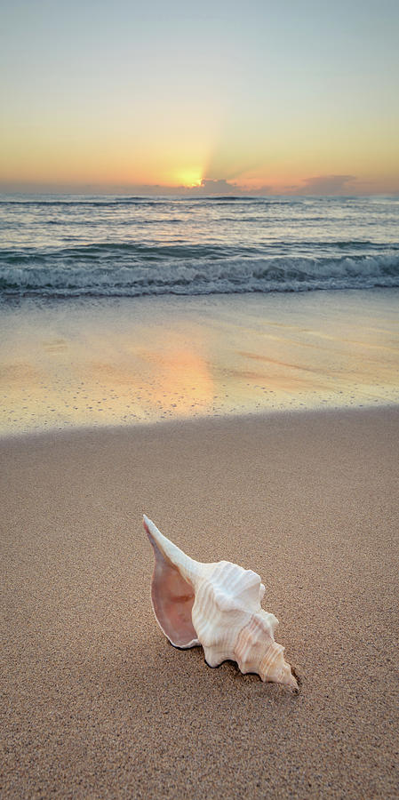 Beach Drift Photograph by Slow Fuse Photography