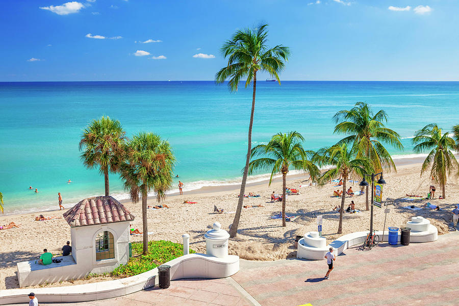 Beach With Palm Trees Digital Art by Pietro Canali