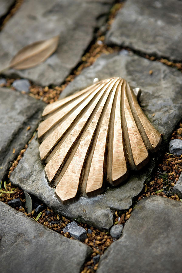 Belgium, Wallonia, Tournai, Benelux, Way Of St. James, Route Of Santiago De Compostela, Santiago De Compostelas Shell On The Ground Digital Art by Massimo Ripani