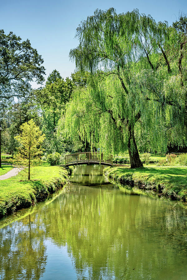 Binney Park, Greenwich, Connecticut Digital Art by Laura Zeid