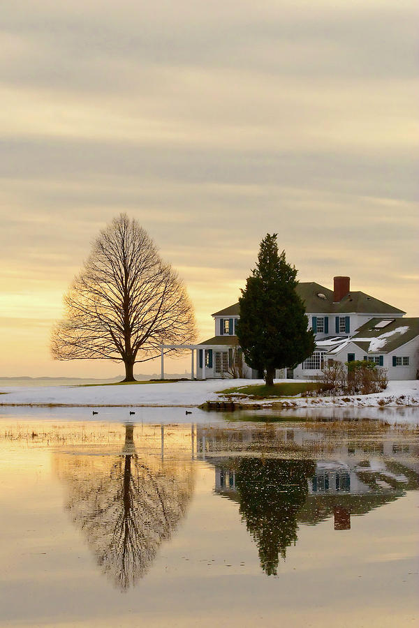 Bluefish River Beauty Photograph by Steven David Roberts