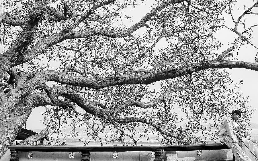 Branching Thoughts by Eden Antho