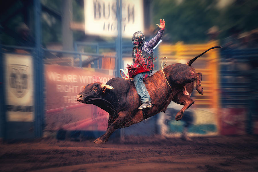The Word Bull Riding Bull Riding by Robert Zhang