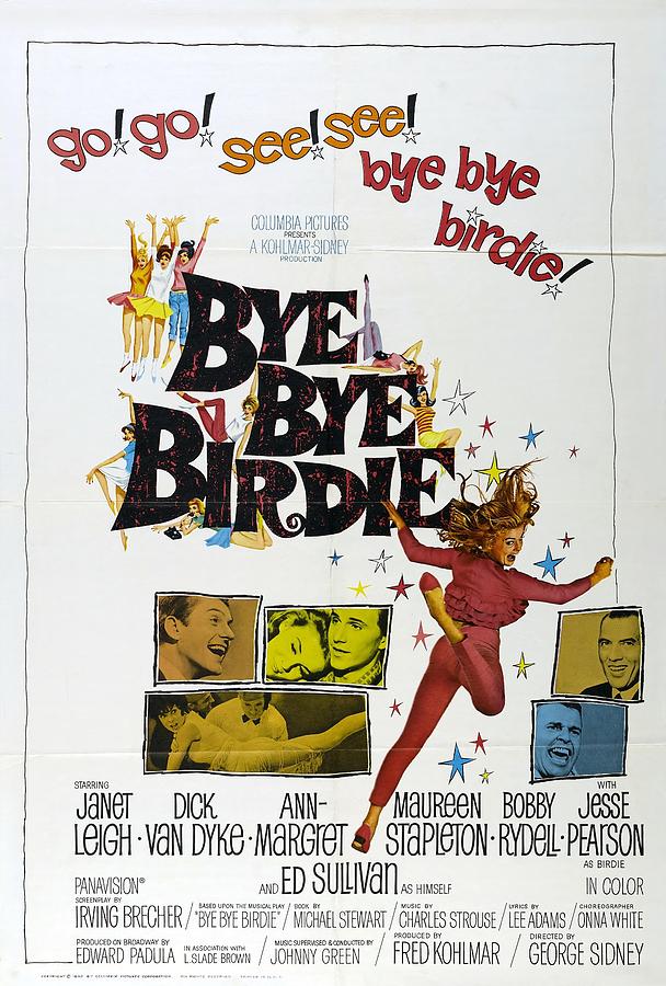 Bye Bye Birdie -1963-. Photograph by Album - Metal Posters