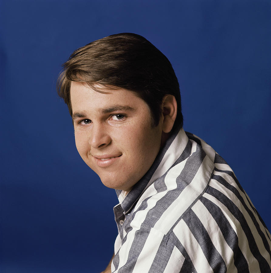 Carl Wilson Portrait by Michael Ochs Archives