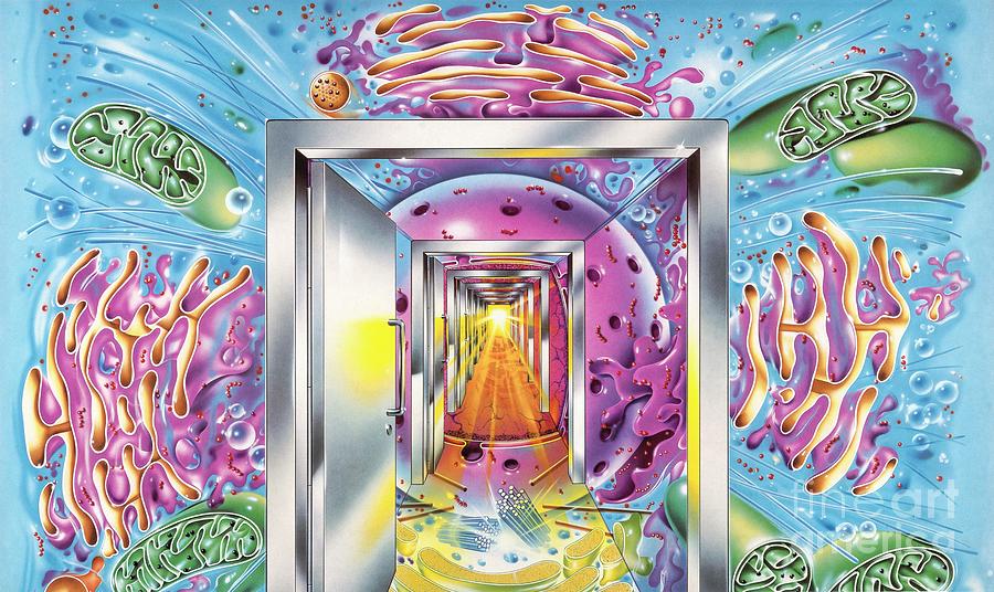 Cell Biology Research by John Bavosi / Science Photo Library