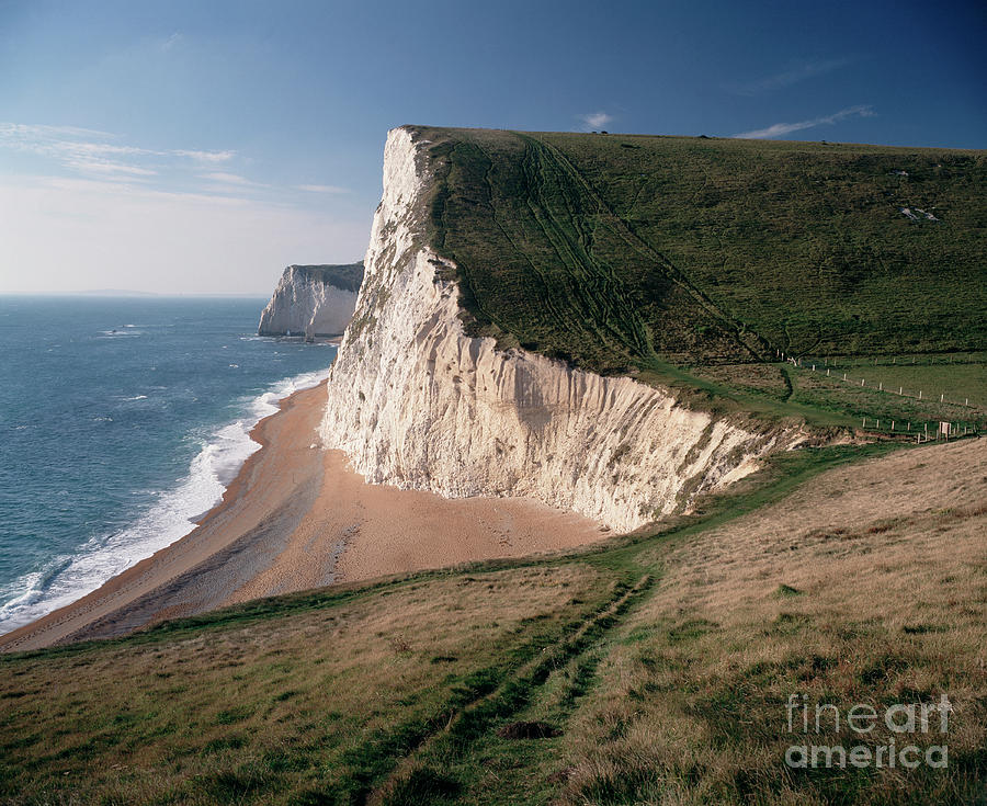 Chalk Cliffs by Michael Marten / Science Photo Library