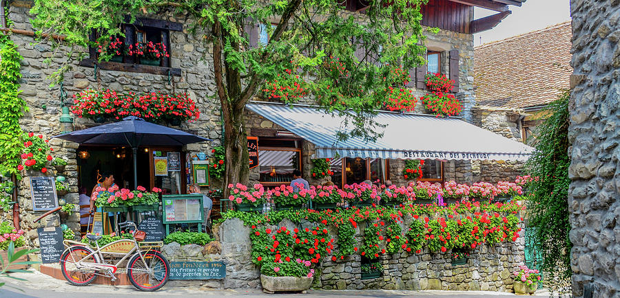 Charming Yvoire Photograph by Marcy Wielfaert