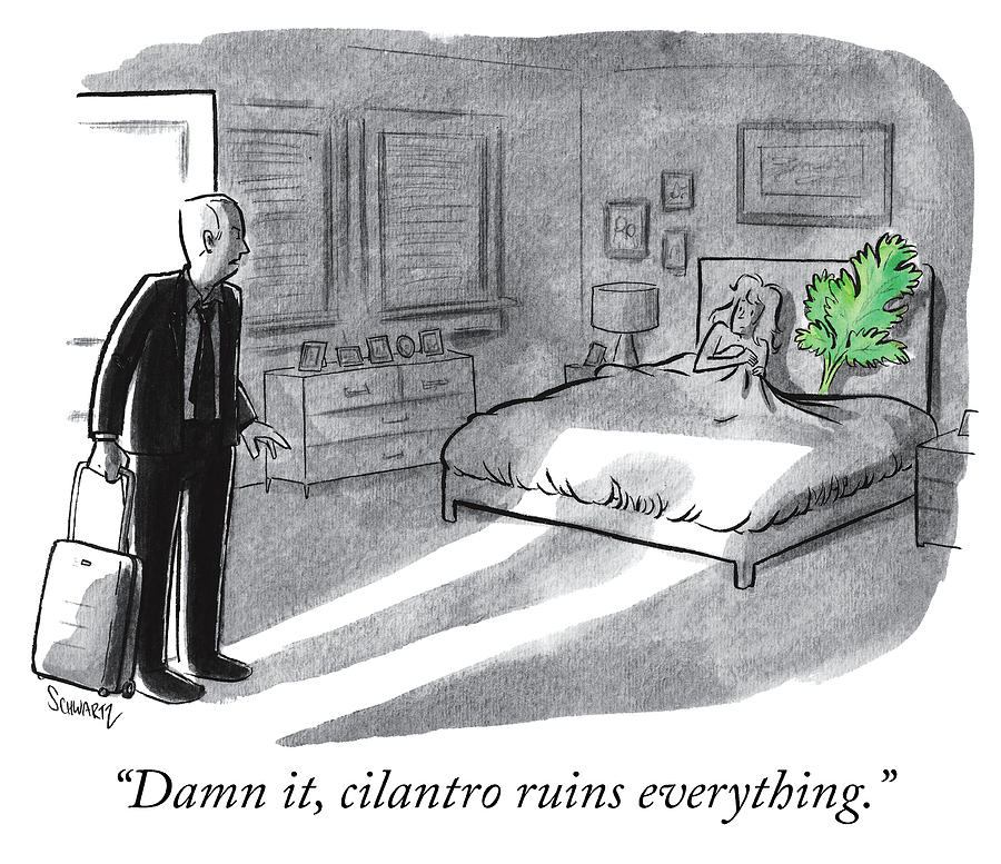 Cilantro Ruins the Moment Drawing - Cilantro ruins everything by Benjamin Schwartz
