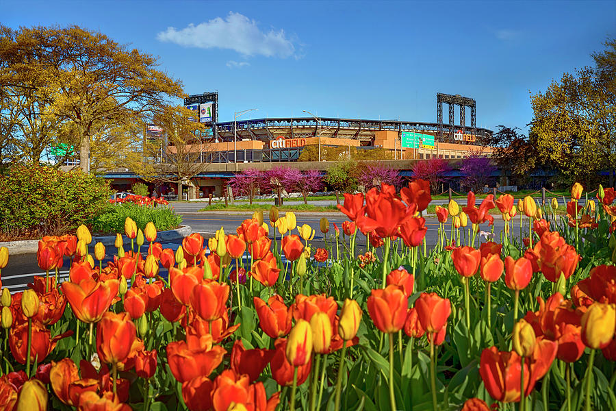 Blooming Tulips at Citi Field Digital Art - Citifield Stadium, Queens, Nyc by Claudia Uripos