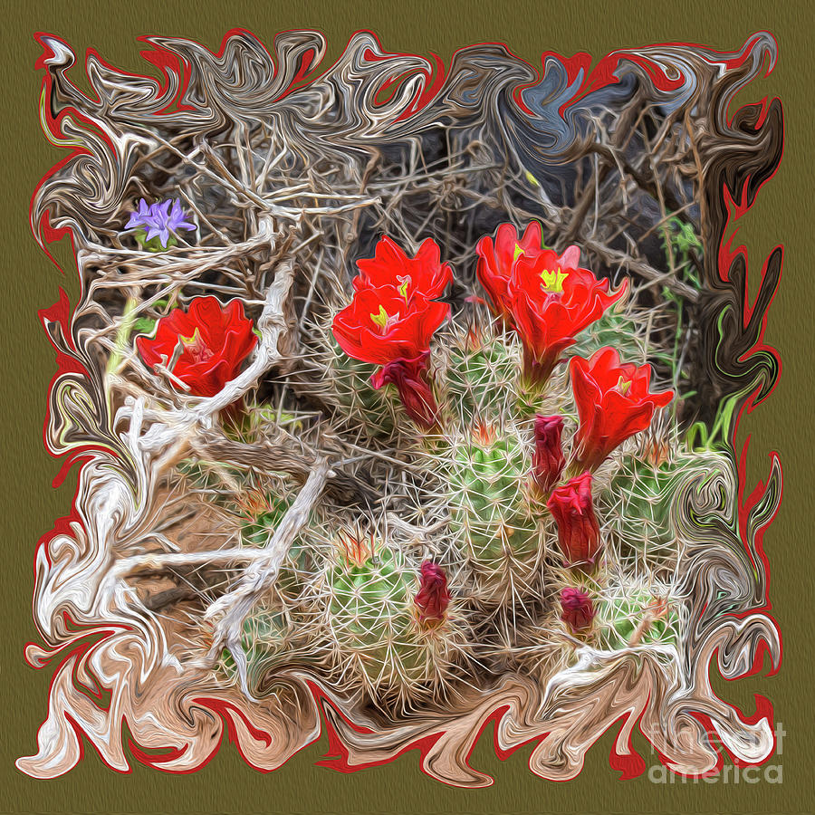Claret Cup Cactus Oil Paint Photograph by Diane Moller