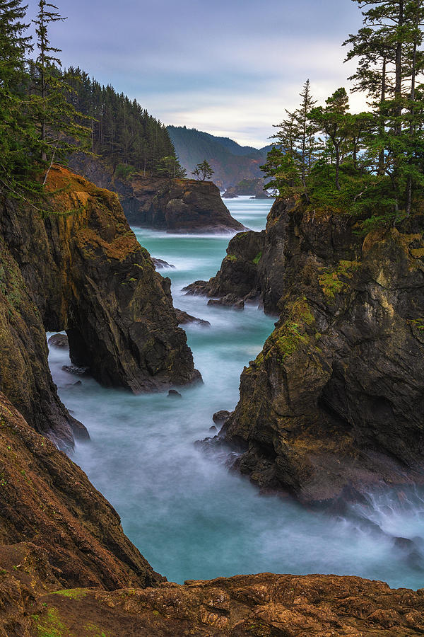 レア！Staring At The Sea • The Images 日本盤LD cliffside-views-darren-white.jpg