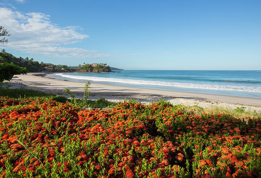 Costa Rica, Guanacaste, Beach Digital Art by Stefano Amantini