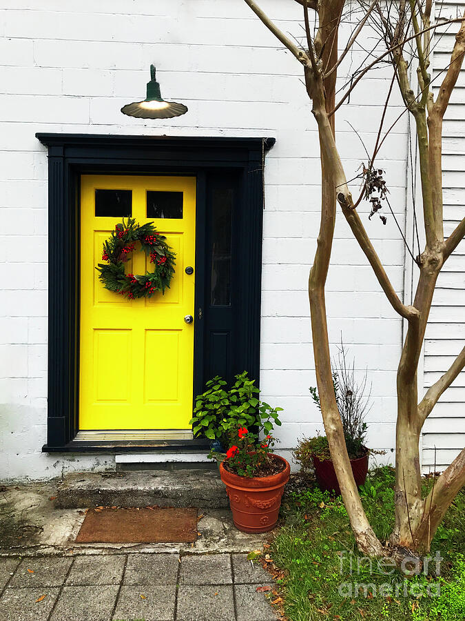 Curb Appeal Photograph by Rick Locke - Out of the Corner of My Eye