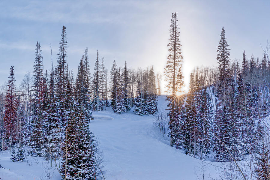 Deer Valley Sunset Photograph by Donna Twiford