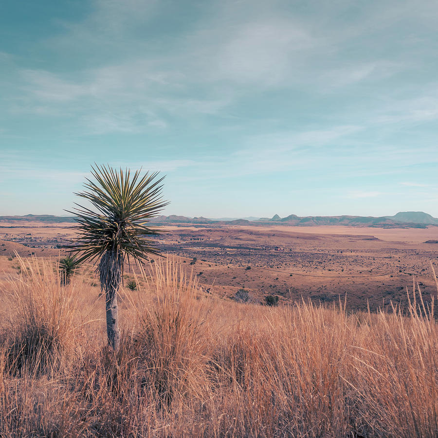 West Texas Desert Landscape Photograph - Desert Expanse by Slow Fuse Photography