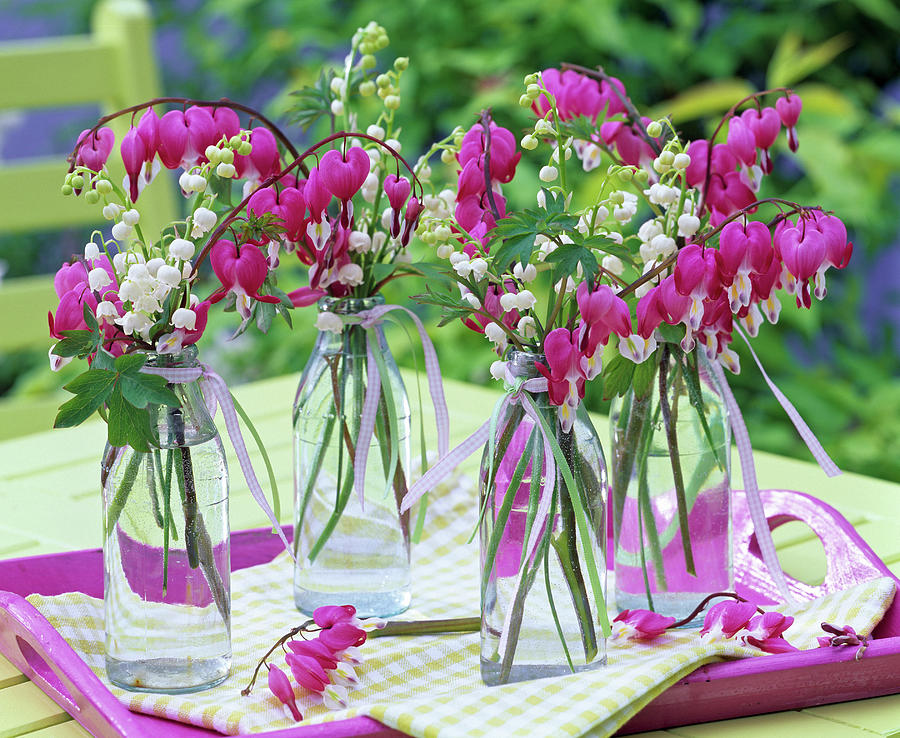 Dicentra, Convallaria In Glass Bottles Photograph by Friedrich Strauss