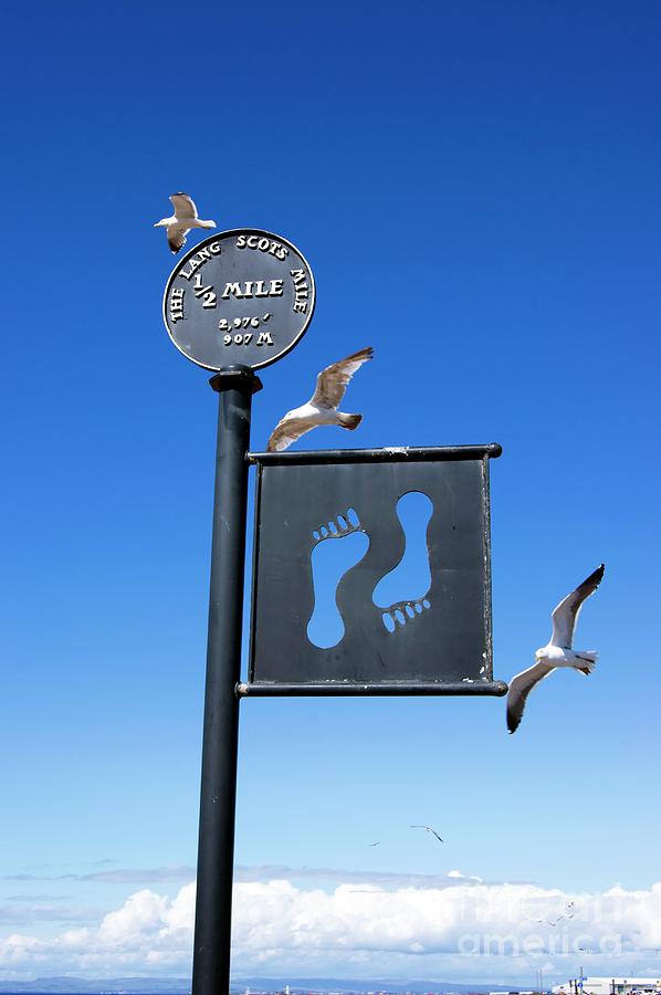 Distance Sign On Ayr Promenade. by Mark Williamson / Science Photo Library