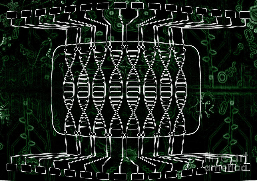 Dna Computing by Giroscience / Science Photo Library