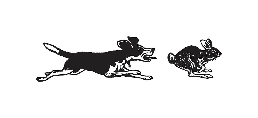 Dog Chasing Rabbit by CSA Images