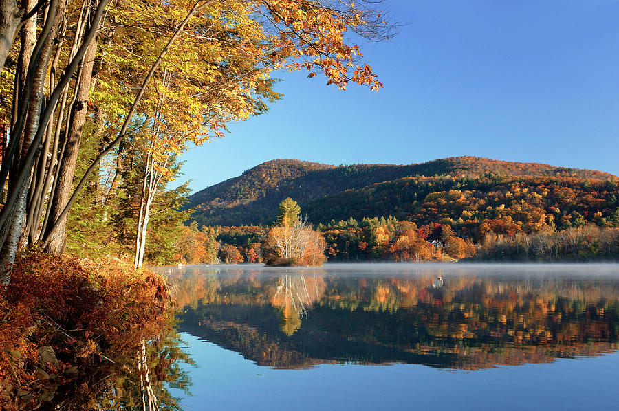 Echo Lake, Indian Summer, Vermont Digital Art by Heeb Photos