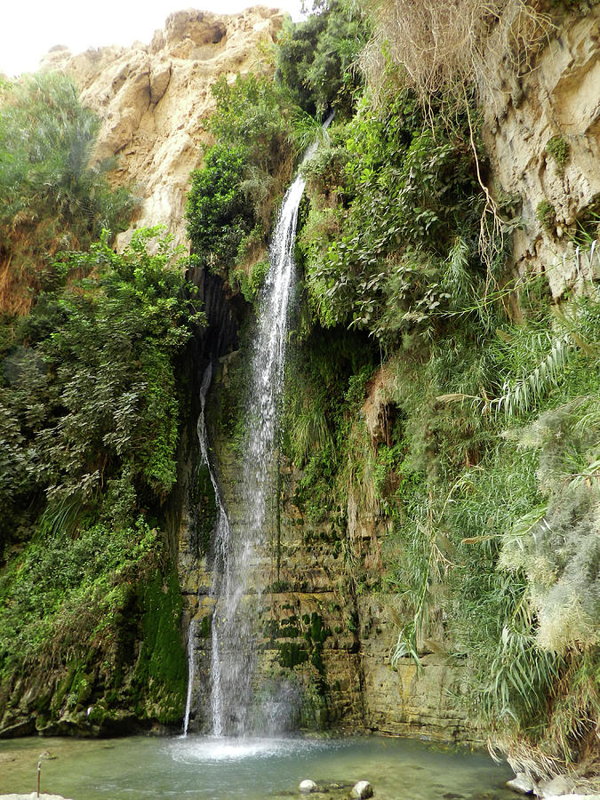 Ein Gedi Nature Reserve by Mis Fotos De Viajes