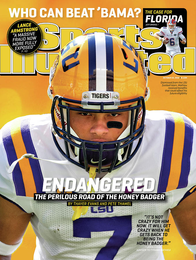 Endangered The Perilous Road Of The Honey Badger Sports