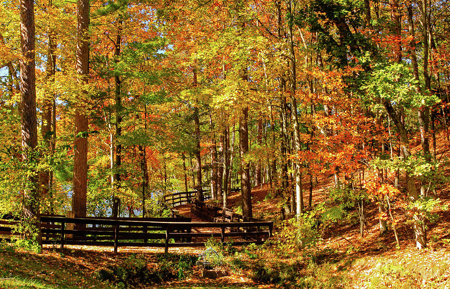 Fall Hike at Mirror Lake Photograph by Dawn Richards