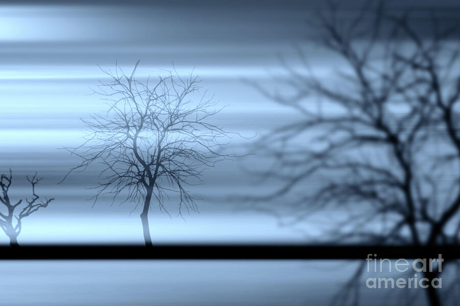 Feeling Blue Digital Art by Stefano Senise