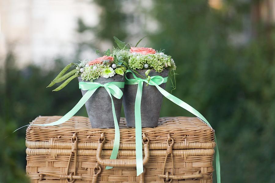 Flower Arrangements In Pots Tied With Satin Ribbons On Wicker Trunk Photograph by Alicja Koll