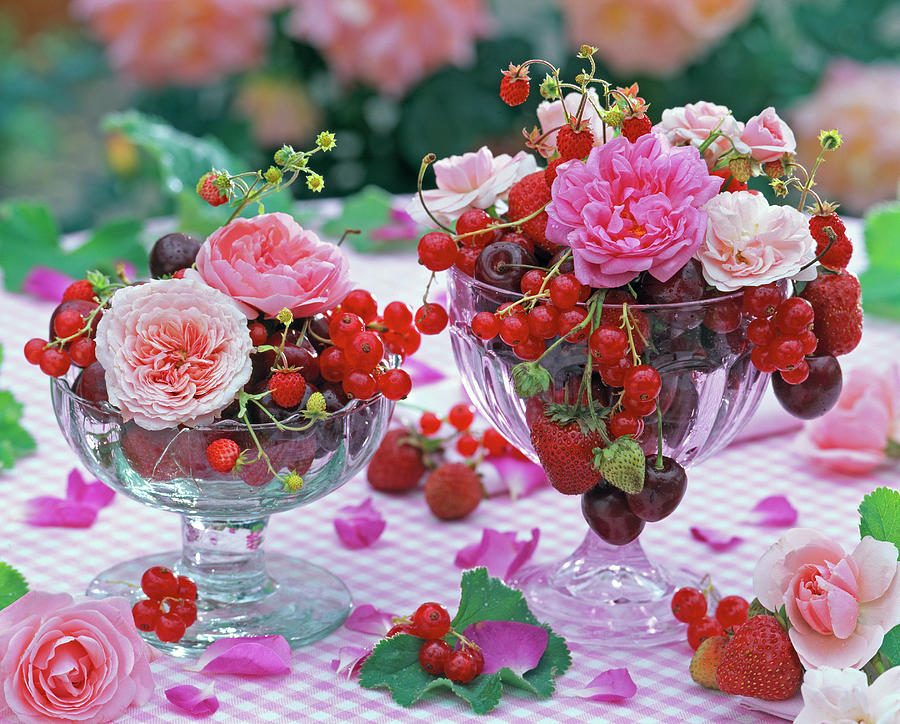 Flowers Of Rosa, Fragaria, Ribes Photograph by Friedrich Strauss