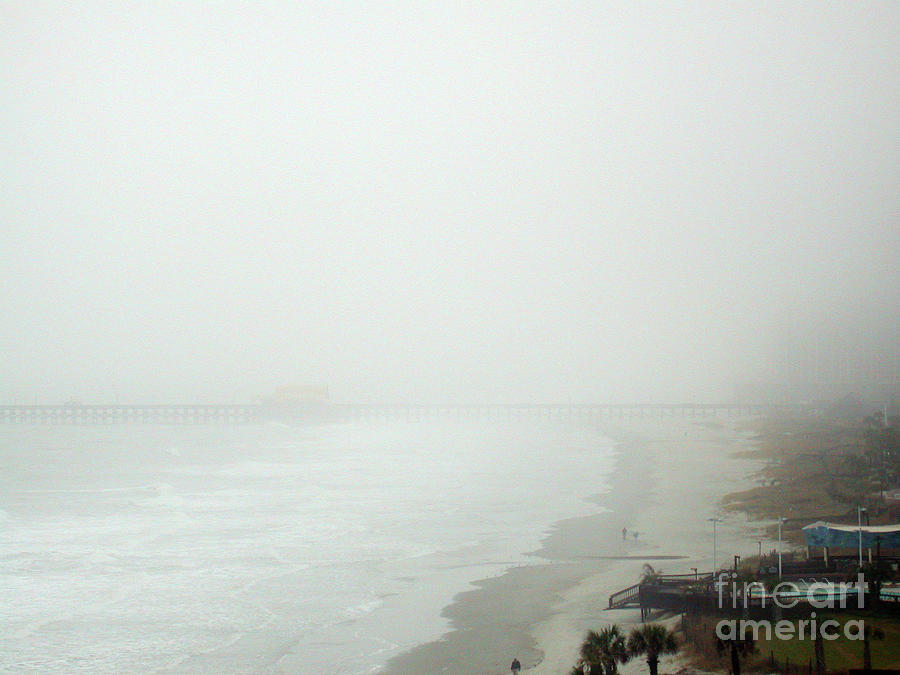 Fog On The Coast by Jim Reed / Science Photo Library