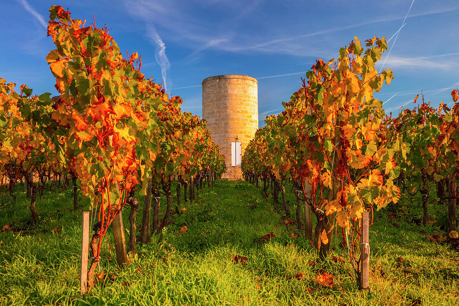 France, Nouvelle-aquitaine, Saint-emilion, Gironde, Bordeaux Region, Vineyard And Tower Digital Art by Olimpio Fantuz