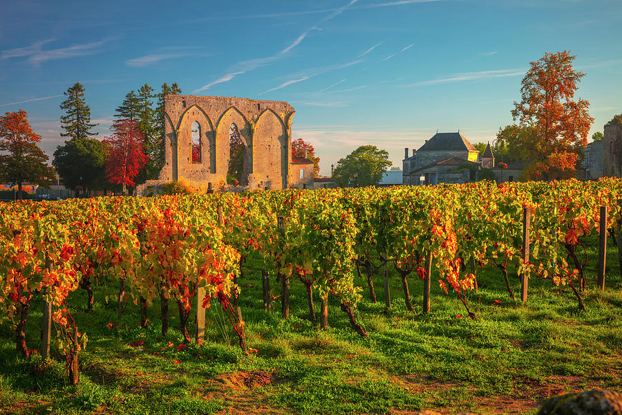 France, Nouvelle-aquitaine, Saint-emilion, Gironde, Bordeaux Region, Vineyards, Dawn Digital Art by Olimpio Fantuz