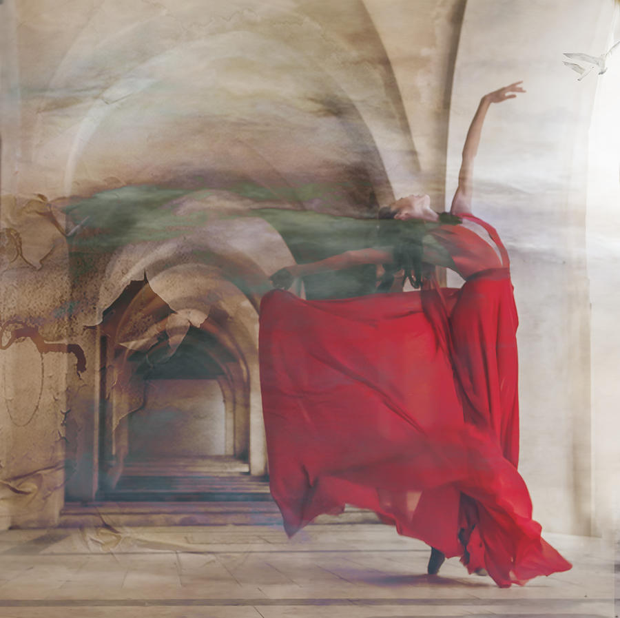 Pansky Freedom by Rachel Pansky