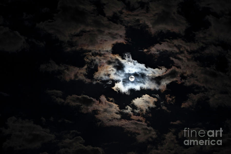 Full Moon At Cloudy Night by Westend61