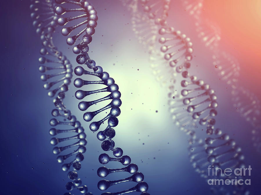 Genetics by Nobeastsofierce / Science Photo Library