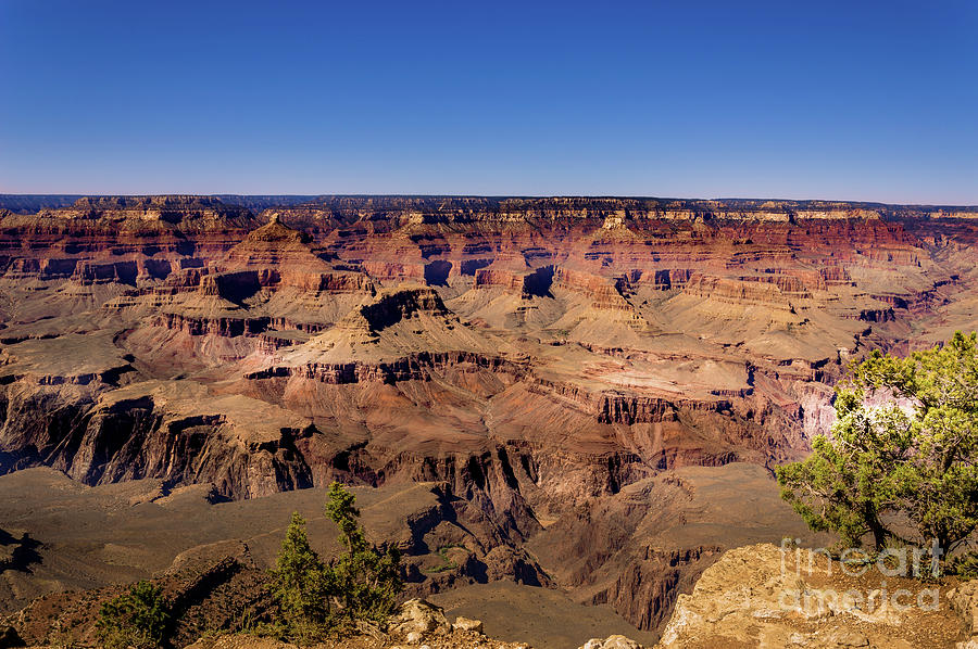 Grand Canyon South Rim #1 Photograph by Blake Webster