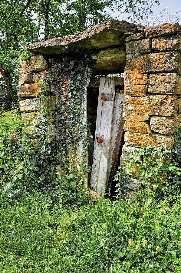 The Old Root Cellar Photograph by Randall Dill
