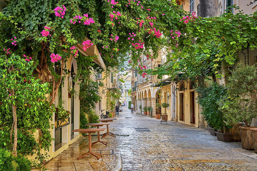 Greece, Ionian Islands, Corfu Island, Kerkira, Corfu City, Corfu Old Town, Flower Lined Street Digital Art by Jan Wlodarczyk