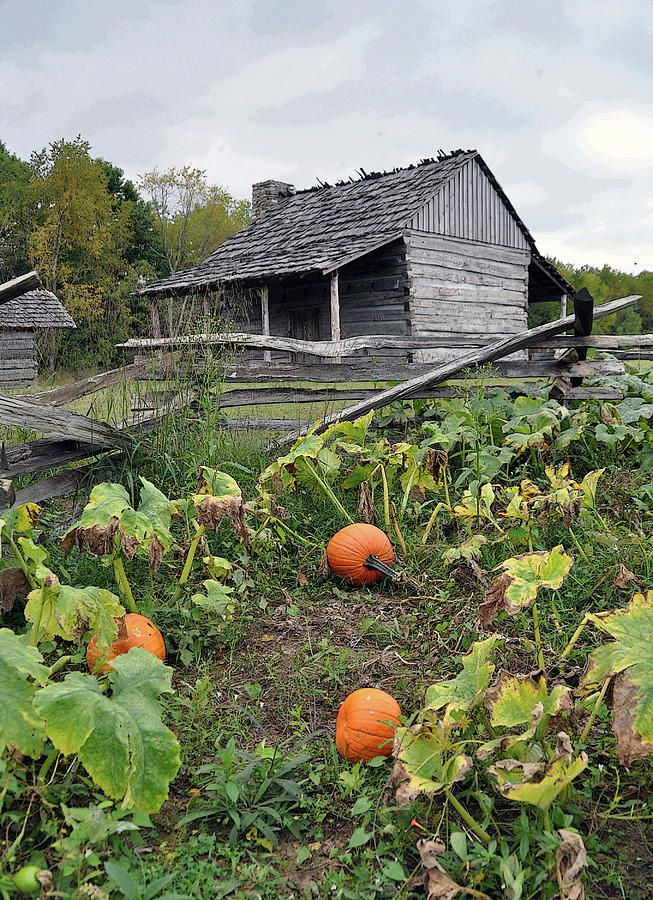 Harvest Time Photograph by Randall Dill